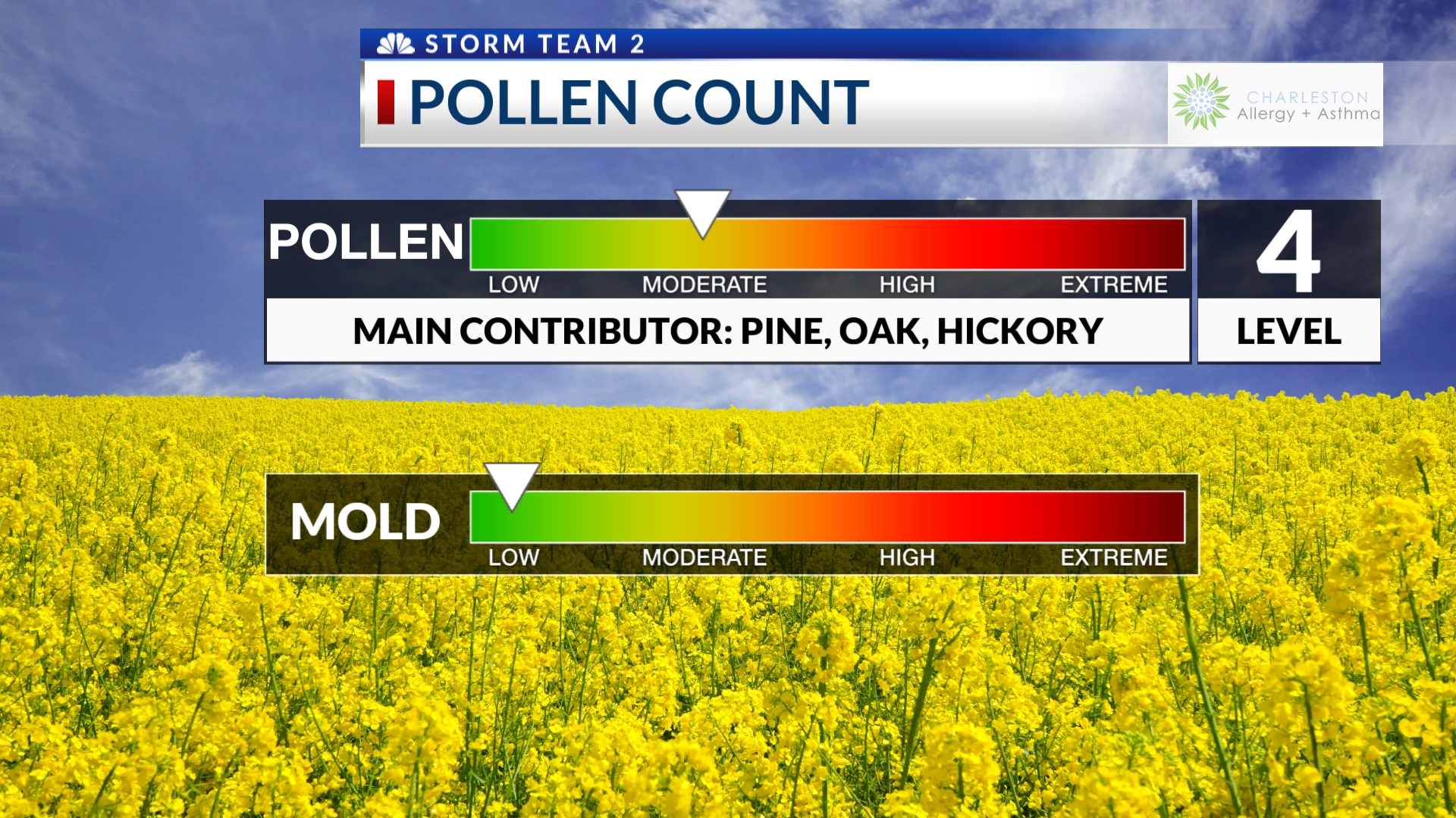 Pollen Count WCBD News 2