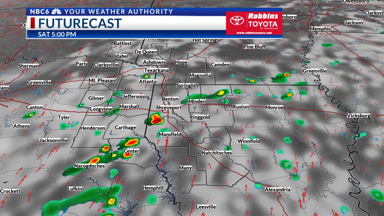 Futurecast Hour 4
