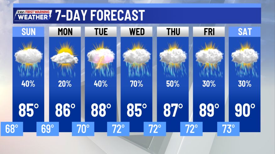 Forecast